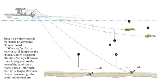  ??  ?? 1. Set the first bunker spoon 350 feet back. 2. Set the second bunker spoon 300 feet behind the boat. 3. Troll a pair of Mojo rigs much closer, maintainin­g just enough speed to keep them bouncing along the bottom. 2 1 2 1 3 3