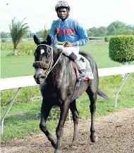  ?? LIONEL ROOKWOOD ?? PERFECT NEIGHBOUR (Omar Walker) walks back to the winners’ enclosure after capturing the Governor General’s Stakes at Caymanas Park, yesterday.