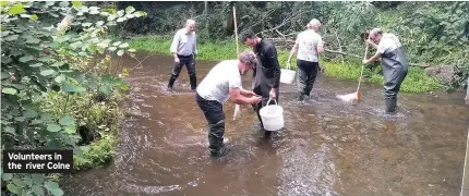  ??  ?? Volunteers in the river Colne