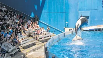  ?? Associated Press file photo ?? Guests at SeaWorld Orlando in Florida watch a killer whale flip out of the water in 2012. At some theme parks, long wait times can be made even worse when the park offers a new attraction.