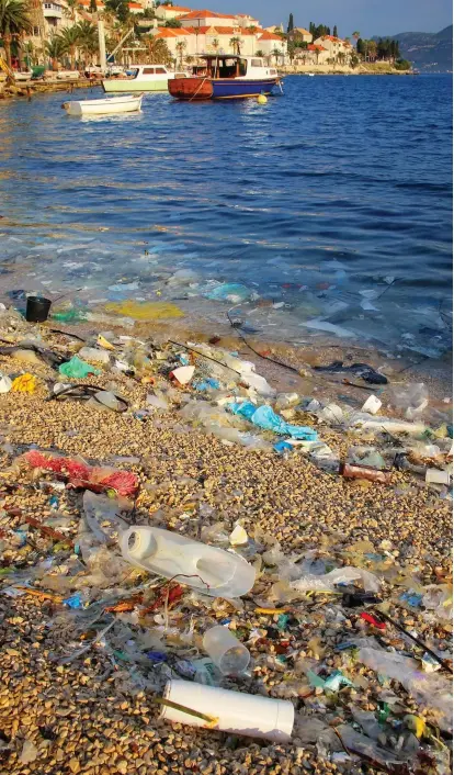  ??  ?? Threat: Plastic rubbish washes up on a beach on Korcula island, off the coast of Croatia