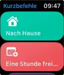  ?? ?? Auf der Apple Watch kannst du deine Kurzbefehl­e ebenfalls mittels Knopfdruck oder Automation aktivieren.