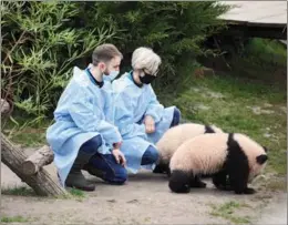  ?? PROVIDED TO CHINA DAILY ?? Staff members look on as twin panda cubs Huanlili and uandudu explore their external enclosure at Beauval Zoo in Saint-Aignan, France, on March 11. The cubs were born on Aug 1 last year.