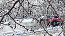  ?? ?? Ice covers tree branches on Norton Street in South Berwick Sunday morning following an ice storm that knocked out power for thousands over the weekend.