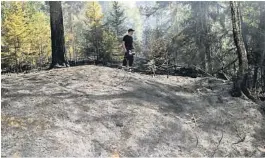  ?? FOTO: TORBJØRN TUNGESVIK ?? KNUSKTØRR SKOG: Den knusktørre skogbunnen gjør at brannen fortsetter ned i bakken og røttene.