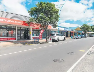  ??  ?? The land and two buildings, stretching from 260- 272 Maunganui Road, contain eight separate tenancies on two titles.