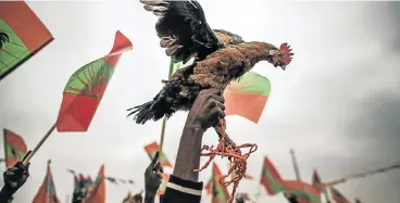  ?? /AFP Photo ?? New dawn: A supporter of Isaias Samakuva, the presidenti­al candidate for Unita, Angola’s main opposition party, holds aloft a rooster, the party’s symbol at the closing rally of Samakuva’s campaign in Luanda.