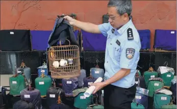  ?? WANG YUHENG / FOR CHINA DAILY ?? A police officer displays a rescued wild bird — one of many in labeled cages in Kunming, Yunnan province — on Monday. Police in the province said they cracked a case of poaching, transporti­ng and selling wild birds, saving more than 400 from suspects...