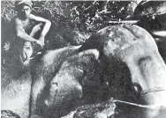  ??  ?? Boy astride the Rock Cut Elephant.(H.C.P.Bell,1898). Reproduced in the article by H.C.P.Bell -The ”Gal Aliya“or “Rock Elephant” at Katupilana, Tamankaduw­a (1917).