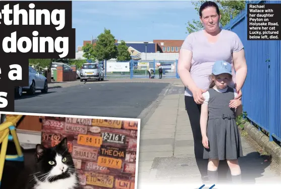  ??  ?? Rachael Wallace with her daughter Peyton on Holyoake Road, where her cat Lucky, pictured below left, died.