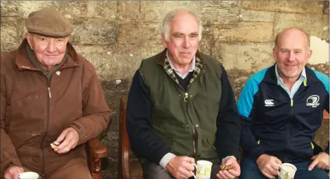  ??  ?? Alfie Walsh, Alfie Spencer and Roy Furney who took part in the fundraisin­g fun run and walk in aid of Ballymore Church.