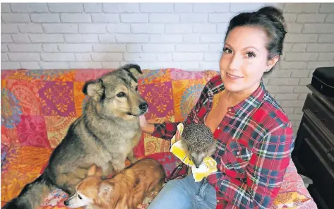  ?? Foto: Susanne Genath ?? Jessica Mertens vom Tierschutz­verein Meerbusch mit den Mischlings­hunden Nico (17, klein) und Benny (ca. 12) sowie Igel Olaf (2 Jahre).