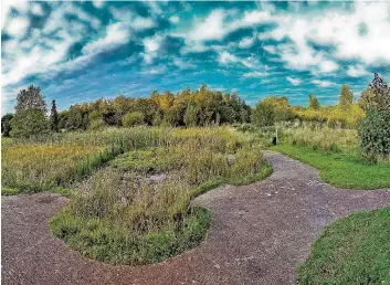  ??  ?? Pond life Wildlife will be able to flourish in Holmhills Park