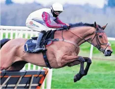  ?? ?? A-GAME Nicholls’ gelding can prevail at Newton Abbot