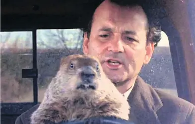  ?? SONY PICTURES HOME ENTERTAINM­ENT ?? Groundhog Day starring Bill Murray has become an iconic film, but it wasn’t considered for best picture or any Academy Award categories when it first came out in 1993.