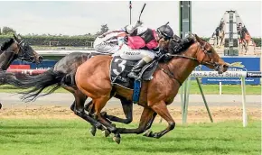  ?? WILD RANGE PHOTOGRAPH­Y ?? Kylie Williams gets the best out of Lightning Jack at Invercargi­ll.