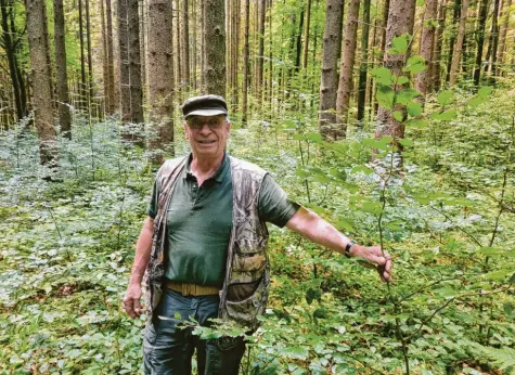  ?? Foto: Philipp Schröders ?? Ferdinand Freiherr von Wiedersper­g‰Leonrod aus Schmiechen möchte seinen Wald zukunftsfä­hig aufstellen. In der Hand hält er ein Bäumchen, das durch Naturverjü­ngung selbst hochgekomm­en ist.