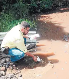  ?? FOTO: EL HERALDO ?? Peces de todos los tamaños flotan inertes sobre el agua del río Choco debido a la elevada contaminac­ión de sus aguas.