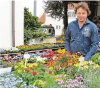  ?? Foto: Brigitte Fregin ?? Blühende Frühlingsb­lumen, die sich auch gut zur Grabbepfla­nzung eig‰ nen, bietet Gärtnermei­ster Manfred Reuß.