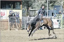 Whiskey Flat Days returns to Kernville with historical displays ...
