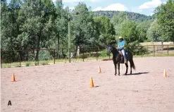  ?? ?? Patterns can become repetitiou­s and boring for a horse, but they don’t have to be. Nicolet suggests building on and altering patterns to keep them fresh. In this series, Nicolet introduces Ridge to a cloverleaf pattern at a walk (A), then rides it at a trot (B), adds a pole (C) and finally increases the gait to a canter (D).