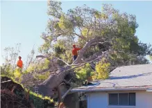  ?? ROSS D. FRANKLIN/ASSOCIATED PRESS ?? Tree removal workers cut up a tree on Friday that damaged two homes in Phoenix after violent storms pushed through the metro area on Thursday.