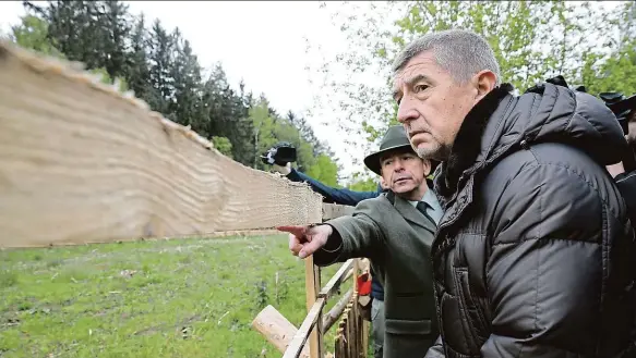  ??  ?? Škody Premiér Andrej Babiš si prohlíží dřevo napadené kůrovcem. 3x foto: MAFRA