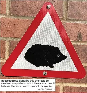  ?? JOSEPH CONNOLLY ?? Hedgehog road signs like this one could be used on Hampshire’s roads if the county council believes there is a need to protect the species