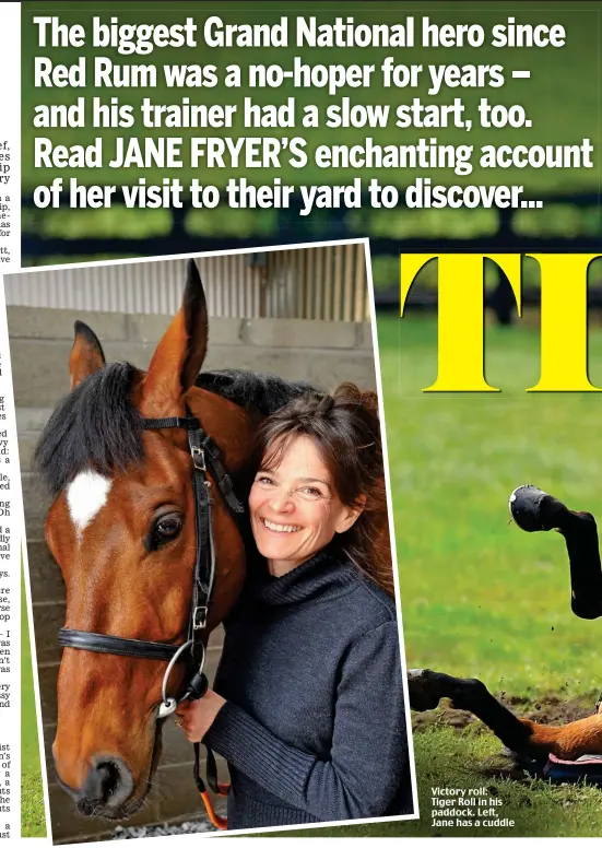  ??  ?? Victory roll: Tiger Roll in his paddock. Left, Jane has a cuddle