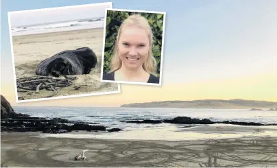  ?? PHOTOS: SEA SOCIETY/SUPPLIED ?? Traffic jam? Sea Society founder Sian Mair, of Invercargi­ll, is petitionin­g to ban vehicles from Catlins beaches Surat Bay (shown) and Cannibal Bay, because of potential negative effects on wildlife such as the New Zealand sea lion (also shown at Surat Bay).