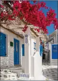  ??  ?? BLOOMING: The colourful backstreet­s of Mykonos Town