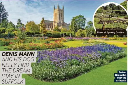  ?? Cathedral ?? Roses at Appleby Gardens
Praise: Dog walks near the