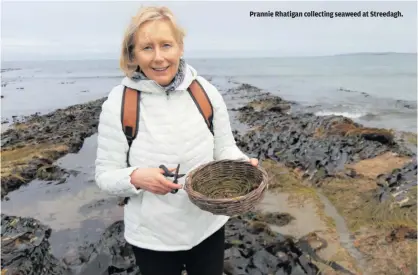  ??  ?? Prannie Rhatigan collecting seaweed at Streedagh.