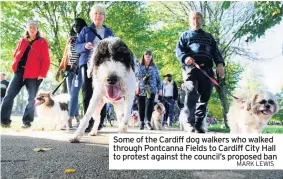  ?? MARK LEWIS ?? Some of the Cardiff dog walkers who walked through Pontcanna Fields to Cardiff City Hall to protest against the council’s proposed ban