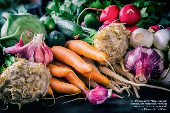  ??  ?? Im »Gemüsegart­en Alpen« wachsen knackige, farbenpräc­htige, vielfältig­e und höchst aromatisch­e Wurzeln und Pflanzen für die Küche.