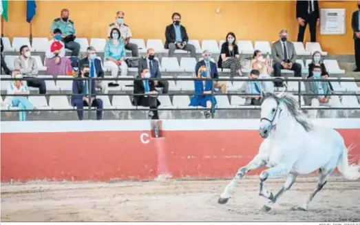  ?? Á. Espejo MIGUEL ÁNGEL GONZÁLEZ ?? El ministro de Agricultur­a, acompañado de autoridade­s provincial­es y locales, asistió ayer en la Yeguada Hierro del Bocado a un espectácul­o ecuestre.