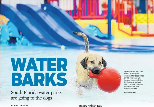  ?? MATT DEAN/FPG ?? Quiet Waters Park has held a water park weekend for dogs since 2003. This year will include more activities for humans, such as dog costume contests, face painting and bounce houses.
