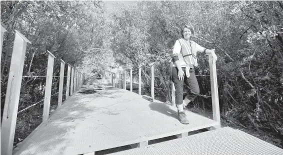  ??  ?? Kathleen Burton, executive director of the Swan Lake Nature Sanctuary Society, on a section of the sanctuary’s floating walkway that was renovated in 2015.