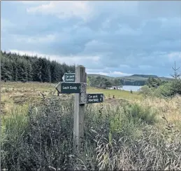  ?? ?? A choice of routes in Aberfeldy’s Griffin Forest