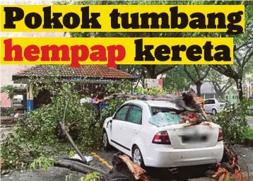  ??  ?? KEADAAN kenderaan rosak teruk akibat dihempap pokok dalam kejadian ribut dan angin kencang.