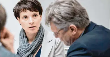  ?? Foto: Odd Andersen, afp ?? Frauke Petry und Jörg Meuthen präsentier­en ein Wahlprogra­mm, in dem sich die AfD unter anderem für die Wiederausb­ürgerung kriminelle­r Migranten ausspricht.