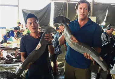  ?? — Photo from SSPA’s Facebook ?? Cruel end: Chong (left) with a Dutch film crew member holding up hammerhead sharks which had their fins removed at a wet market in Kota Kinabalu.