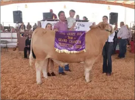  ??  ?? JAHANN RUTLEDGE’S Grand Champion Production Steer.