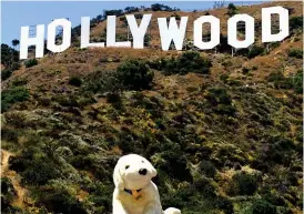  ??  ?? United States: The Hollywood sign in Los Angeles, California