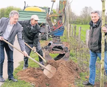  ?? FOTO: SIMON GERICH ?? Umweltdeze­rnent Ralf Krumpholz, Landschaft­sgärtner Viktor Ring und Wolfger Steinberg vom Amt für Umwelt und Grün (von links) pflanzen an der Woltershof­er Straße in Binsheim eine Esche.