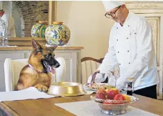  ?? ?? Netflix’s documentar­y followed German Shepherd Gunther, the ‘world’s richest dog’