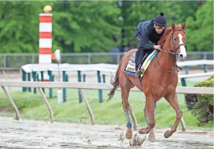  ?? GEOFF BURKE/USA TODAY SPORTS ?? Justify works out at Pimlico on Thursday.