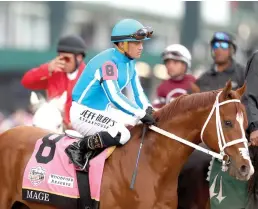  ?? Tribune News Service/getty Images ?? Jockey Javier Castellano leads Mage to the starting gate before the 149th Kentucky Derby at Churchill Downs on Saturday in Louisville, Kentucky.