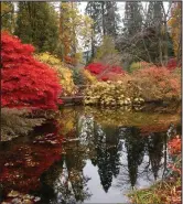  ??  ?? Glorious: Autumn colours at Benmore