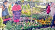  ?? — P. SURENDRA ?? People visit 8th Grand nursery mela as part of All India Horticultu­ral and Agricultur­al show at People plaza, Necklace road on Thursday.